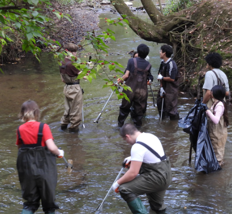 Agency Photo  (264103)