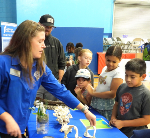 Agency Photo  (264102)