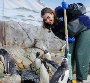 Agency Photo  (264101)