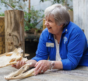 Agency Photo  (264104)