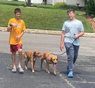 Agency Photo  (264184)