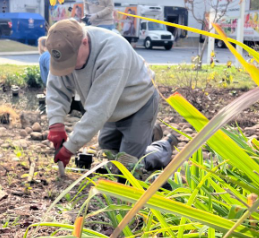 Agency Photo  (264185)