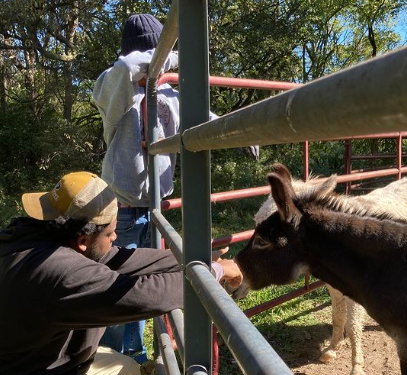 Agency Photo  (265373)