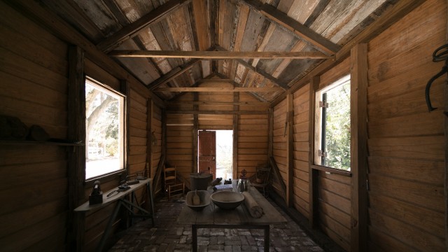 Agency Photo  (106841)