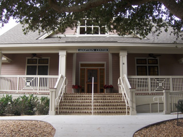 Agency Photo  (91500)