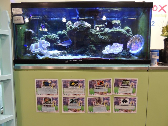 Agency Photo  (193835)