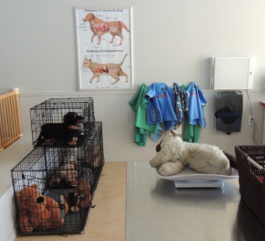 Agency Photo  (193817)