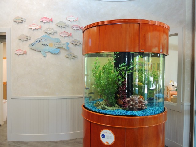 Agency Photo  (193819)