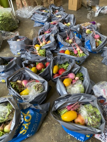 Agency Photo  (203887)