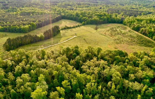 Agency Photo  (172488)