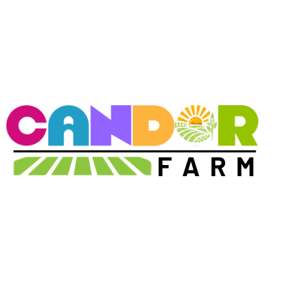 Agency Logo