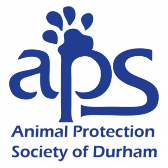 Agency Logo