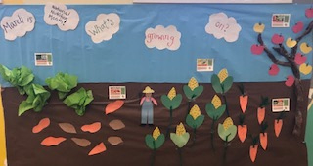 Agency Photo  (105685)