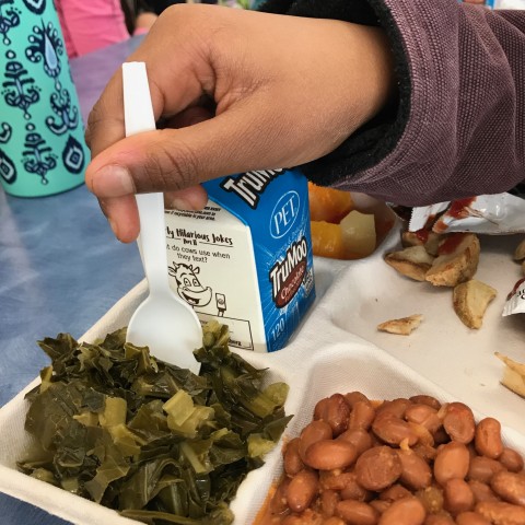 Agency Photo  (105679)