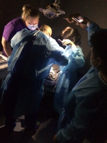 Agency Photo  (111240)