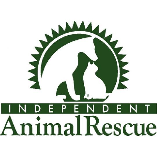 Agency Logo
