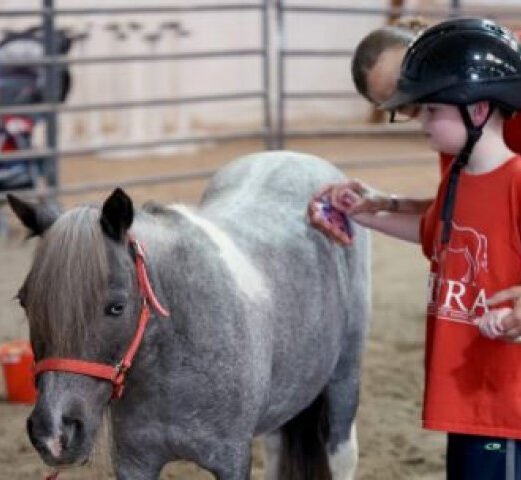 Agency Photo  (260974)