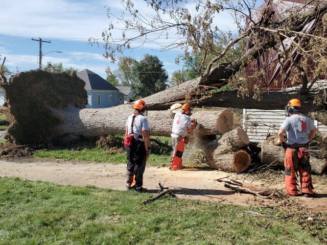 Agency Photo  (265116)