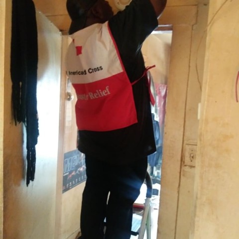 Agency Photo  (106267)