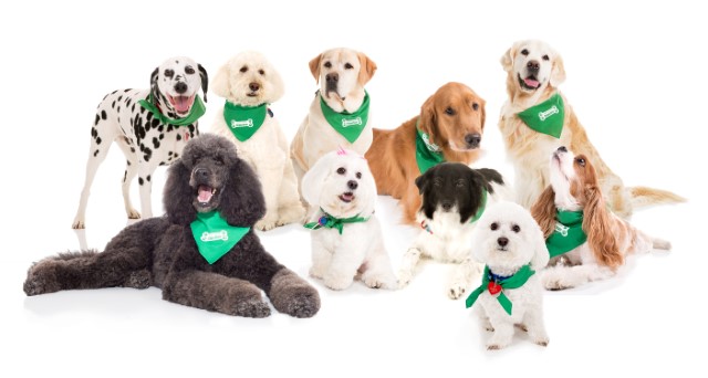 Agency Photo  (119523)