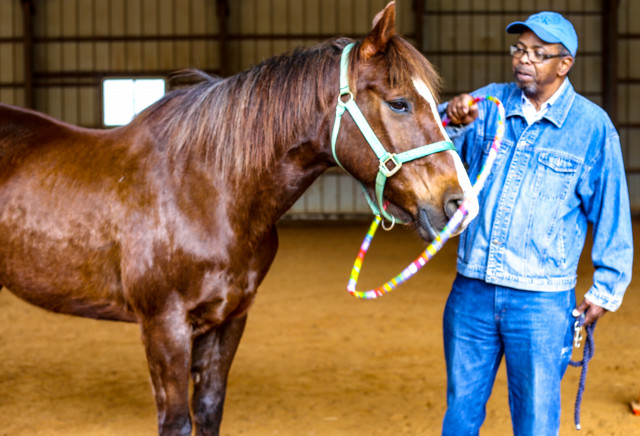 Agency Photo  (134271)