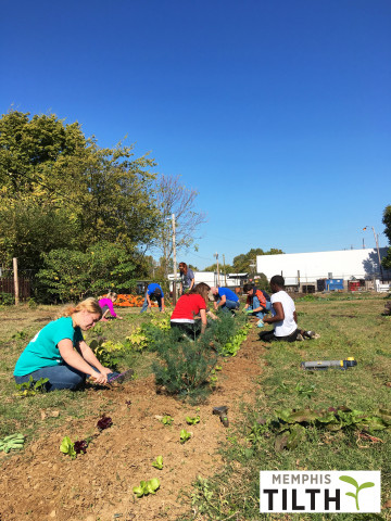 Agency Photo  (121775)