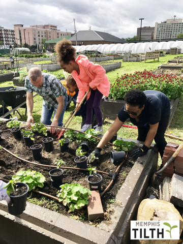 Agency Photo  (121774)