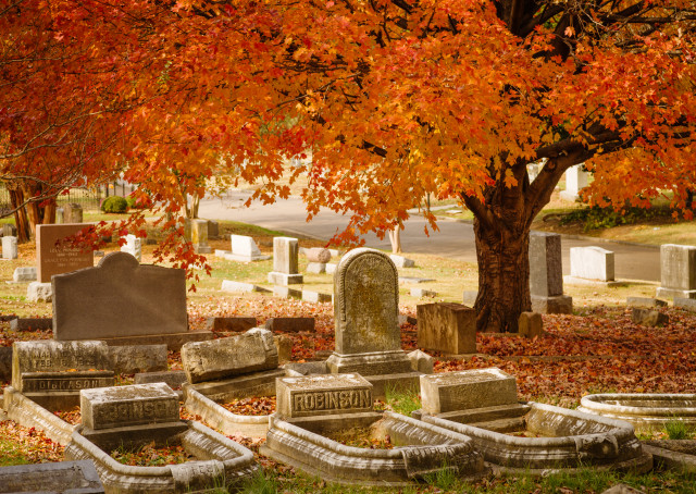 Agency Photo  (121846)