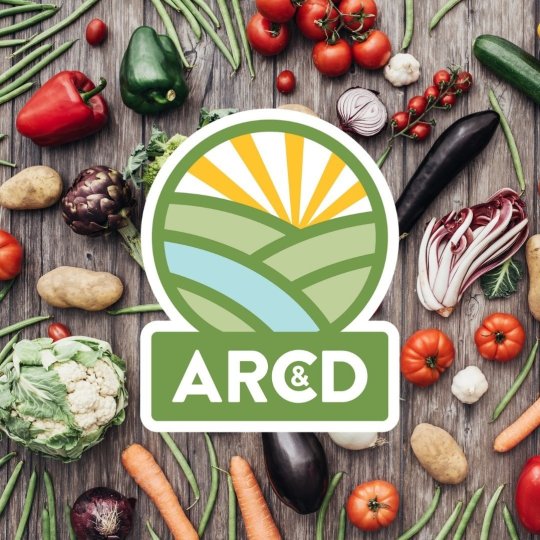 Agency Logo