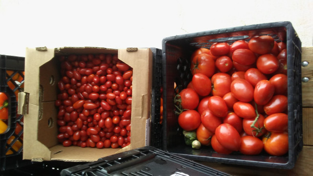 Partner Photo  (173030)