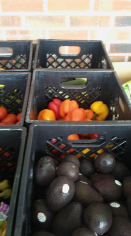 Partner Photo  (152420)