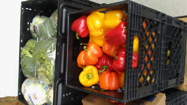 Partner Photo  (173029)