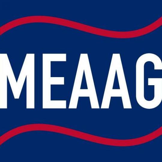 Organization Logo