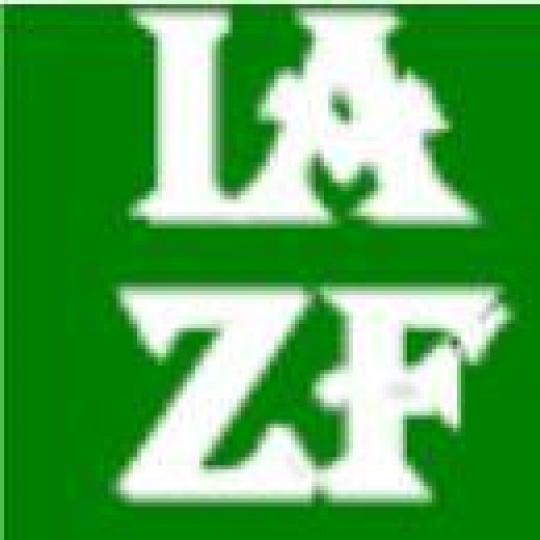 Organization Logo