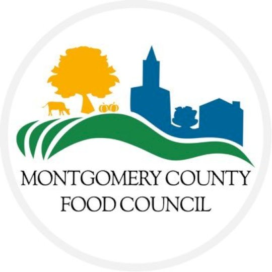 Organization Logo