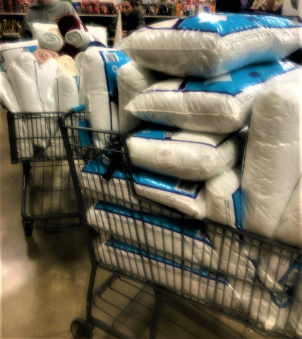 Organization Photo  (145025)