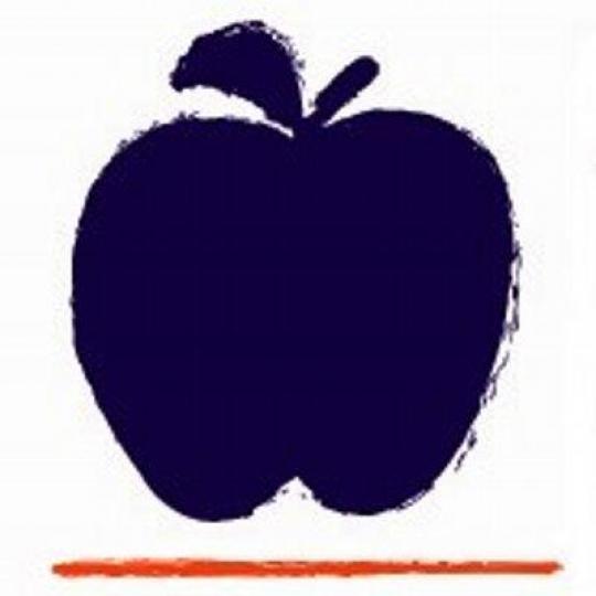 Organization Logo