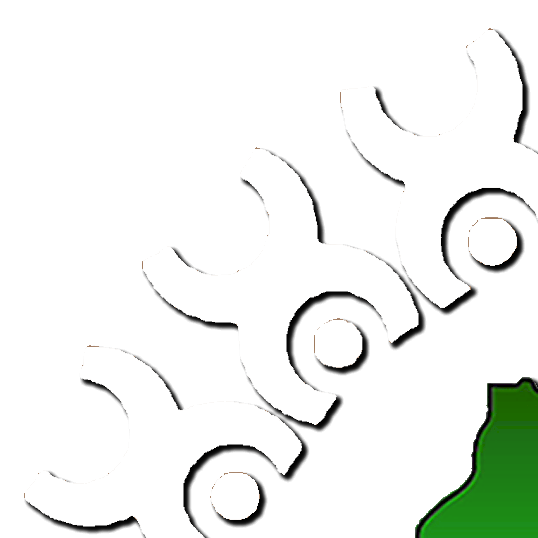 Organization Logo