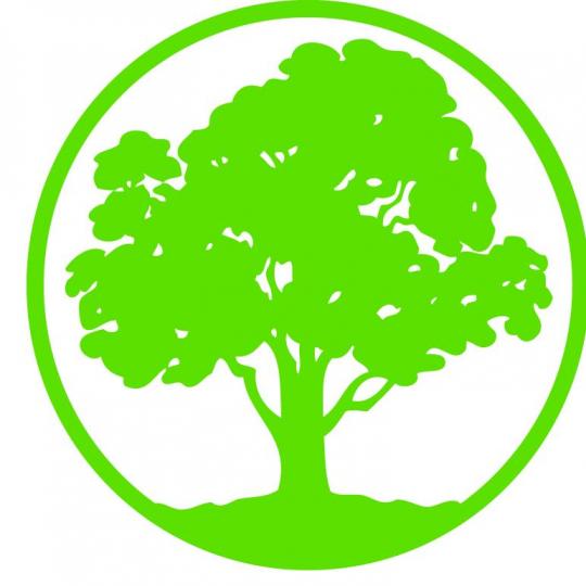 Organization Logo