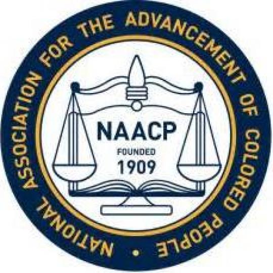 Organization Logo