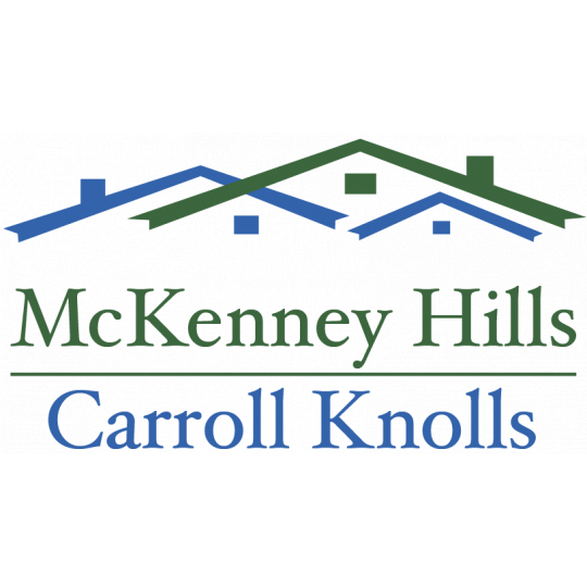 Organization Logo