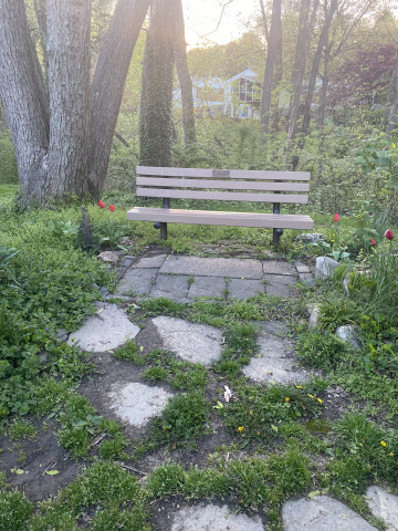 Organization Photo  (175174)