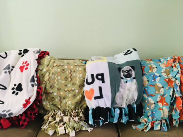 Organization Photo  (175419)