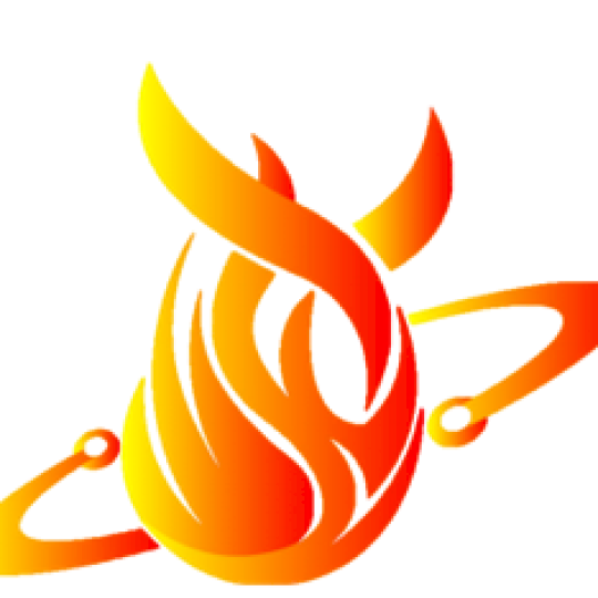 Organization Logo