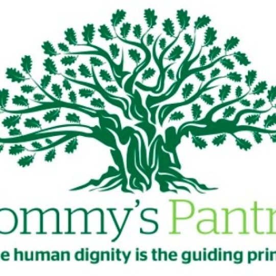 Organization Logo