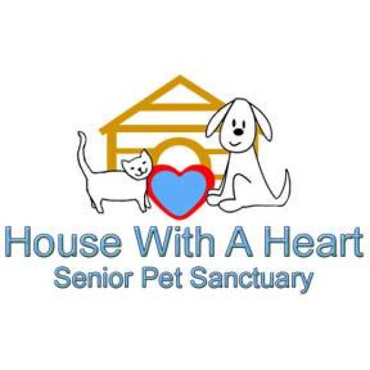 Organization Logo