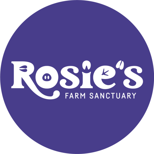Organization Logo