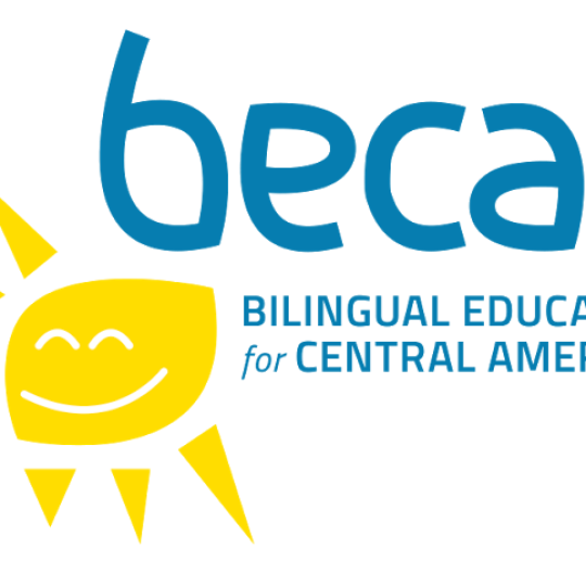 Organization Logo