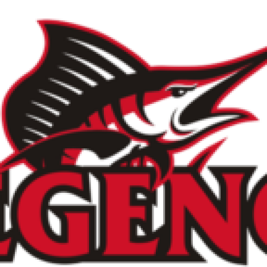 Organization Logo