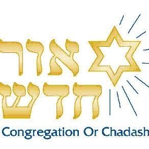 Organization Logo